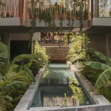 Apartment Alterhome Jungle Oasis In *
