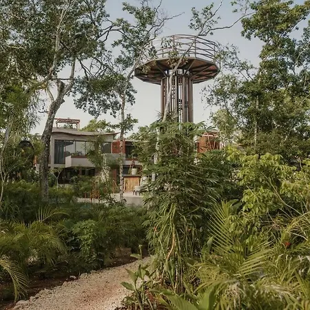 Alterhome Jungle Oasis In