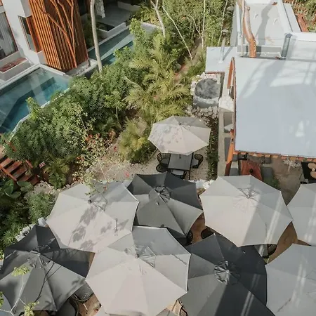 Alterhome Jungle Oasis In