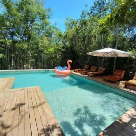 Stunning Jungle House In Th15 Gym Bbq Private Pool *