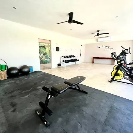 Apartment Great Location *high Speed Internet