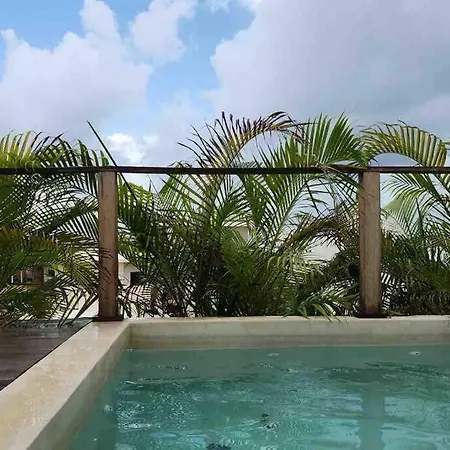 Chic Ph Private Pool/rooftop Near To Beachfront Apartment Tulum