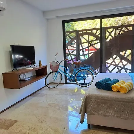 Menesse Departamento Con Alberca Y Balcon Estancias Largas
