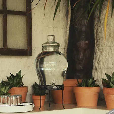 Howlita - Adult Only 3* Tulum