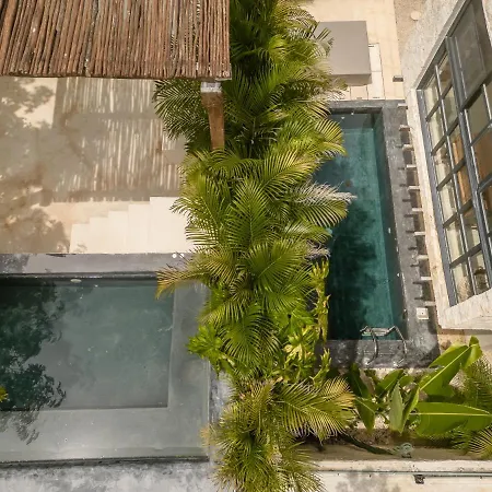 New Aura Jungle Getaway Holiday home