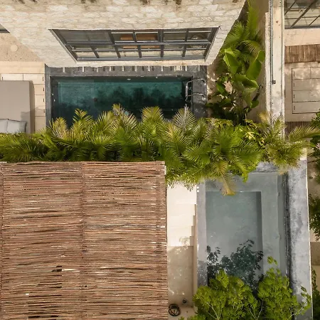 New Aura Jungle Getaway *