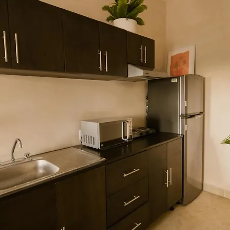 Gardenia Collective Hotel 4*
