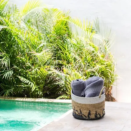 Laid Back In Tropical Vibe Apt Private Pool