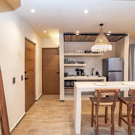 Downtown Loft W Rooftop Pool Apartment