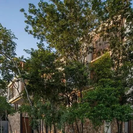 Beyond Amazing 3bd 2br/ Balcony Apartamento Tulum