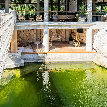 Divine 2br On Cenote Gym