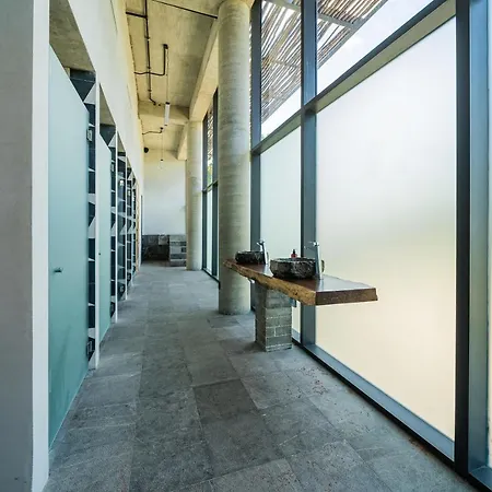 Divine 2br On Cenote Gym * Tulum