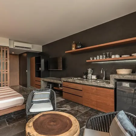New Luxury Con Plunge Pool Privado Apartment Tulum