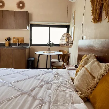 Apartment Luxurious Jungle