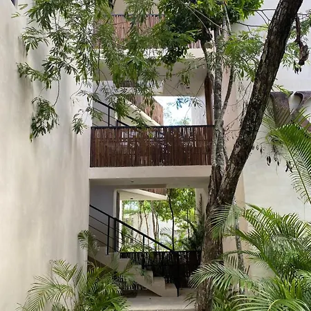 Apartment Luxurious Jungle