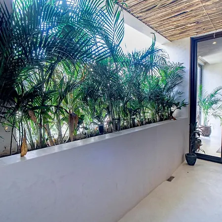 Holiday home The Primary @ Mestiza, 307a Tulum