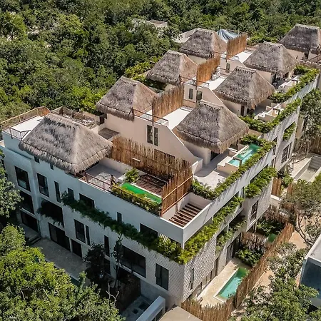 The Primary @ Mestiza, 307a Tulum