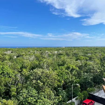 Ova * Tulum