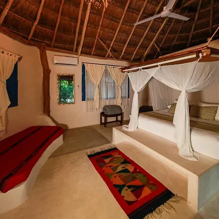 Cormoran & Cenote 3*