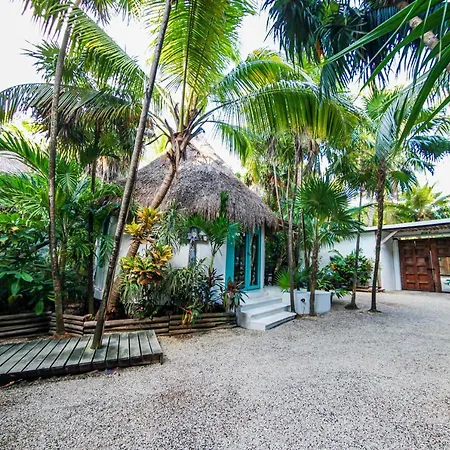 Cormoran & Cenote 3*