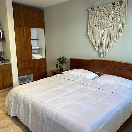 Join The Tuluminati Tribe! Modern & Cozy *