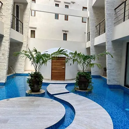 Apartment Join The Tuluminati Tribe! Modern & Cozy *