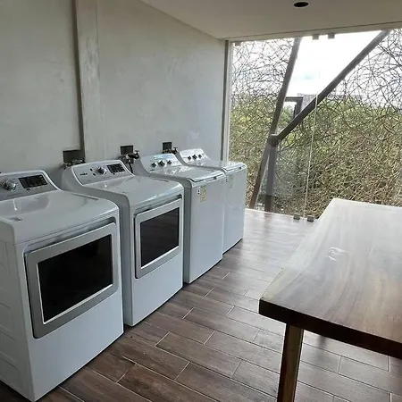 Apartment Join The Tuluminati Tribe! Modern & Cozy