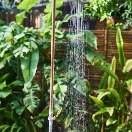 Zen Canto Tuuch :: May The Jungle Be With You
