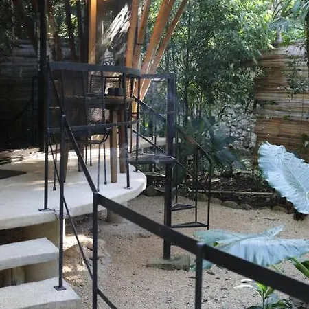 Сasa de vacaciones Zen Canto Tuuch :: May The Jungle Be With You Tulum