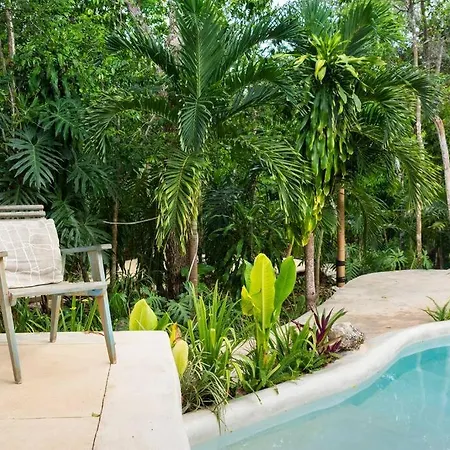 Zen Canto Tuuch :: May The Jungle Be With You Tulum