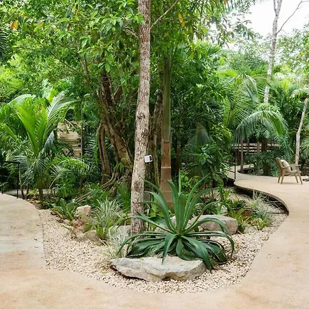 Zen Canto Tuuch :: May The Jungle Be With You Сasa de vacaciones