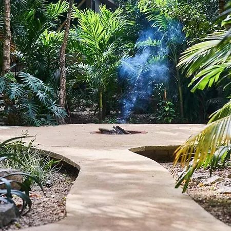 Zen Canto Tuuch :: May The Jungle Be With You *