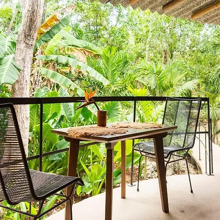 Zen Canto Tuuch :: May The Jungle Be With You Сasa de vacaciones