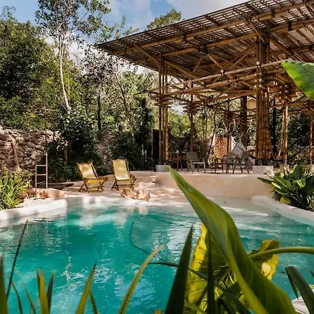Zen Canto Tuuch :: May The Jungle Be With You Сasa de vacaciones *