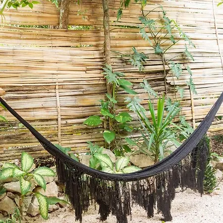 Zen Canto Tuuch :: May The Jungle Be With You Сasa de vacaciones Tulum