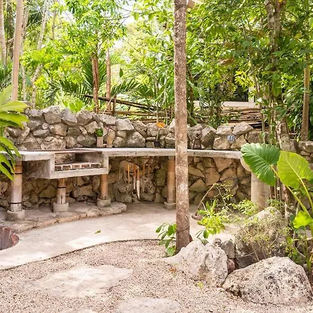 Zen Canto Tuuch :: May The Jungle Be With You Сasa de vacaciones *