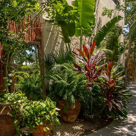 Villas Atman Residences * Tulum