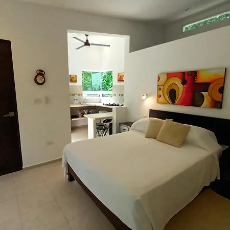 Ixchel Private Pool Holiday home *