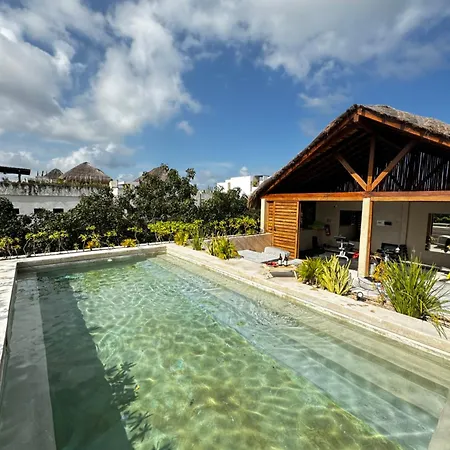 Apartment ºselva Misticaº Estela New Cozy Skypool 1 Bdr And 2 Bikes Free