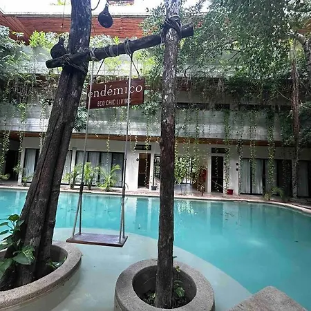 Apartment Increible Ph Con Rooftop Y Plunge Pool Privada *