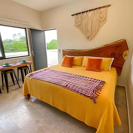 Exclusive Building Infinity Pool And Gym Restaurants And Bar District Nearby Сasa de vacaciones Tulum