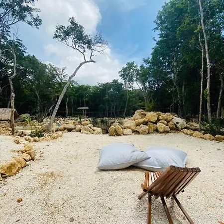 Holiday home Private Cenote 18 Guests Luxury Jungle *