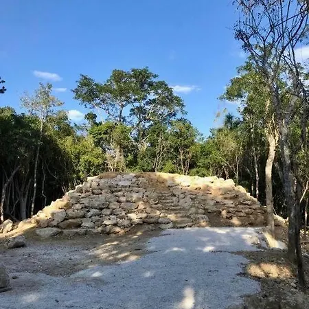 Private Cenote 18 Guests Luxury Jungle