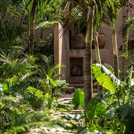 Xela Tulum, A Member Of Design Tulum
