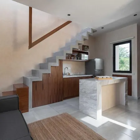 *jungle Ph W/pool, Close To Downtown & Apartment