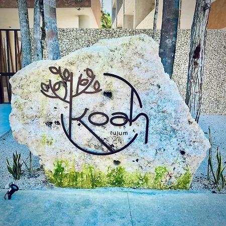 *jungle Ph W/pool, Close To Downtown & * Tulum