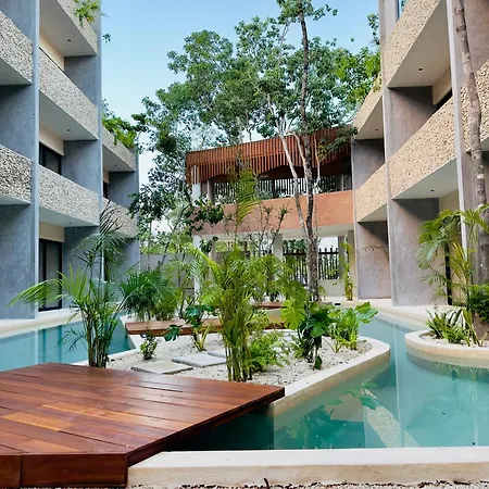 *jungle Ph W/pool, Close To Downtown & * Tulum