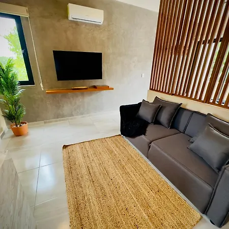 *jungle Ph W/pool, Close To Downtown & *