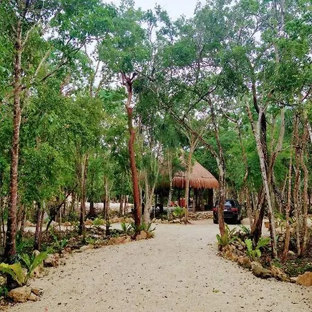 Private Cenote 18 Guests Luxury Jungle Holiday home
