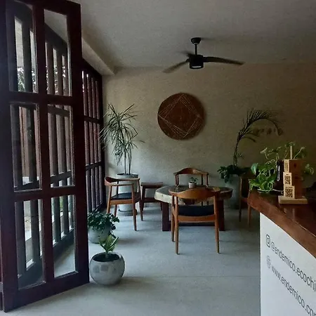 Increible Ph Con Rooftop Y Plunge Pool Privada * Tulum